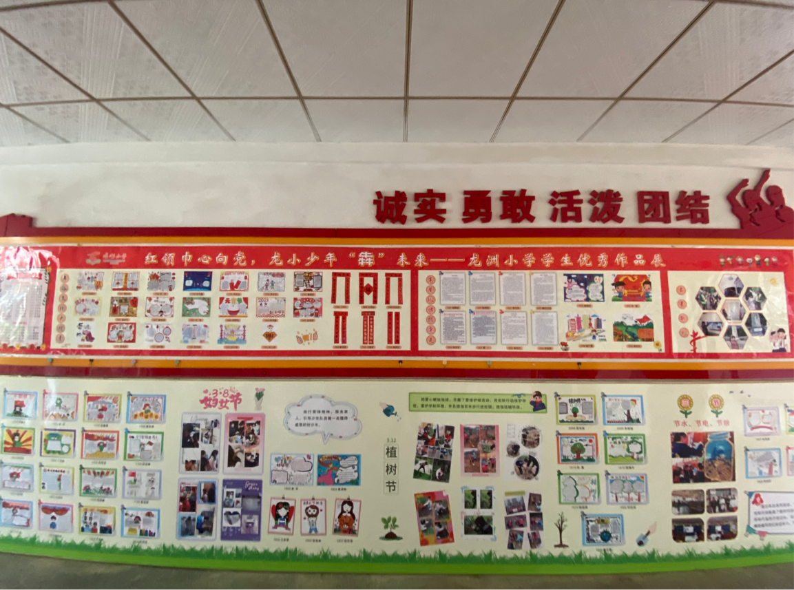 龙洲小学校园文化展示墙掠影